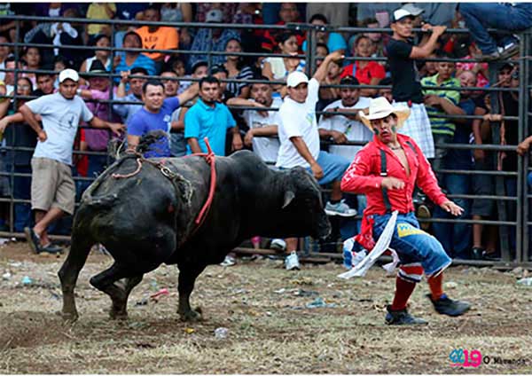 Barrier of Bulls_tisma_cultura_gal5