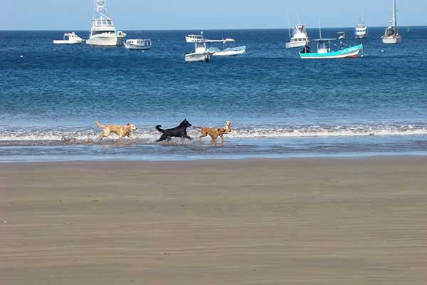 Coast of San Juan del Sur_sanjuandelsur_naturaleza_gal3