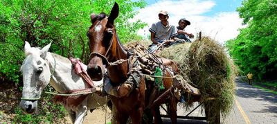 Jornaleros_tisma_cultura_gal3