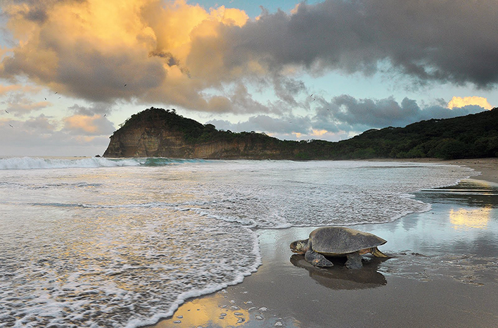 Plage de La Flor _sanjuandelsur_naturaleza10