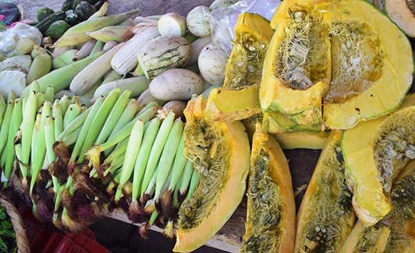 Vegetable stall frescastisma_naturaleza_gal6