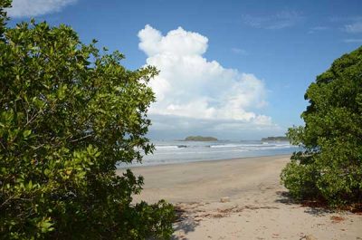 Punta Teonoste_tola_naturaleza_2