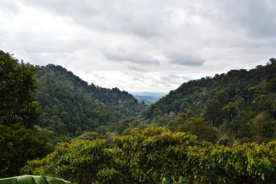 Datanli-Reserve