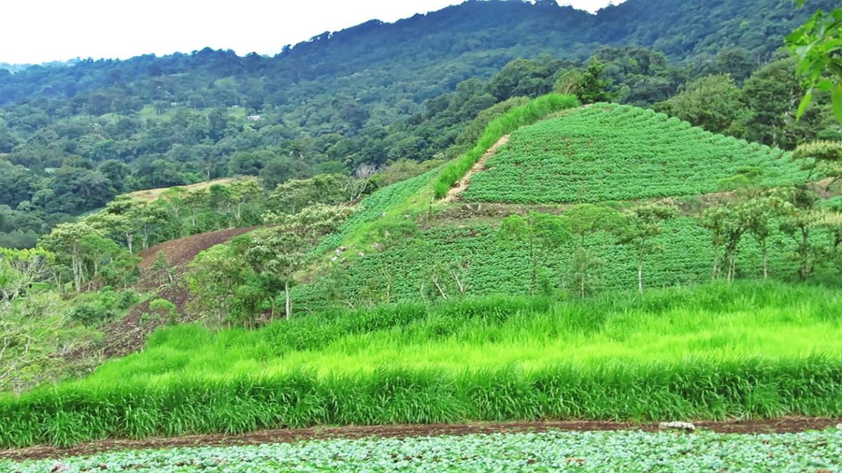 Naturaleza de La Concordia Mapa Nacional de Turismo