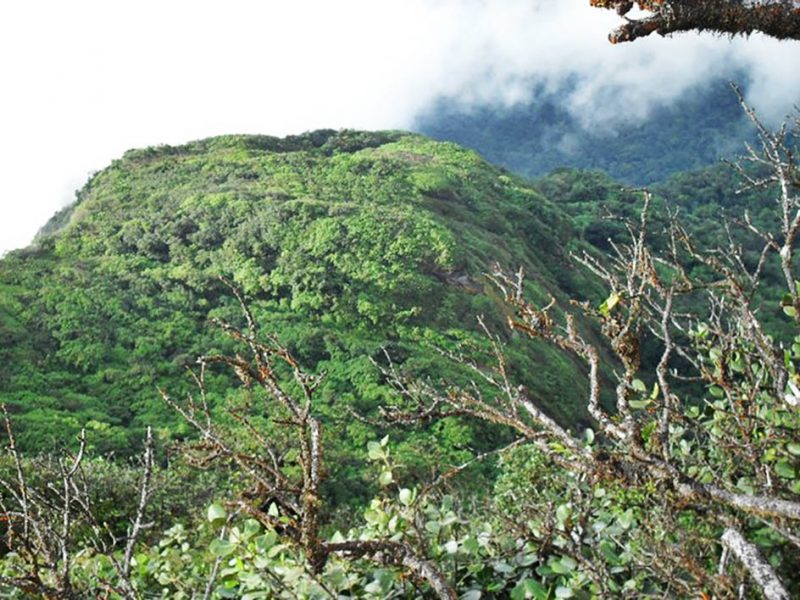 Naturaleza de San José de Bocay Mapa Nacional de Turismo