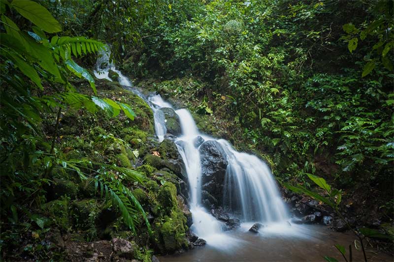 Cascata-Finca-Los-Nogales