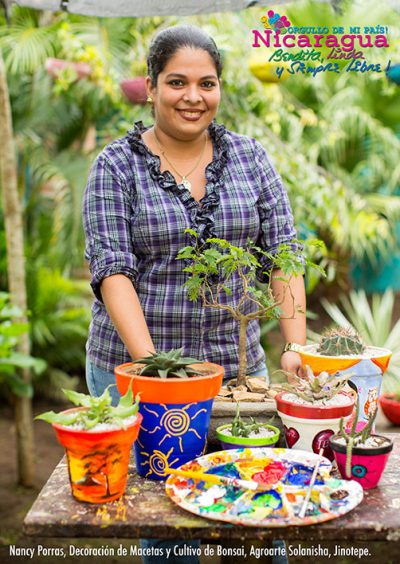 Decoration of pots and bonsai crops _jinotepe_cultura1