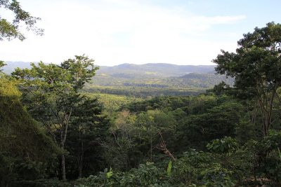 Hacienda Il Soddisfatto