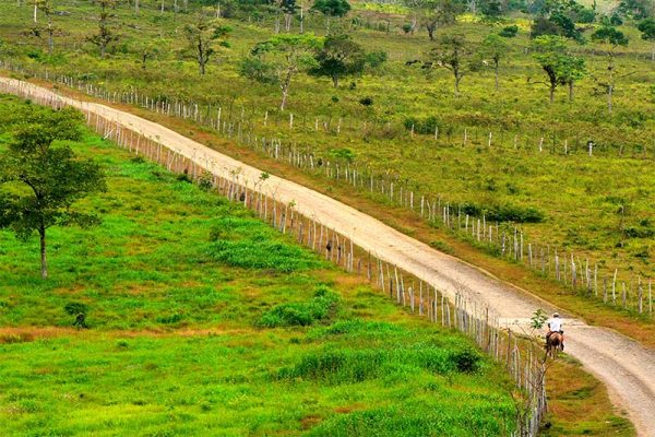 Path-of-Santo-Domingo