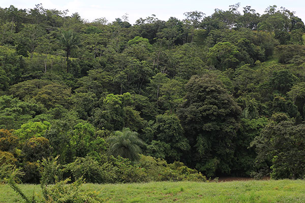 Cercanías a río Mico muelledelosbueyes_naturaleza_gal2