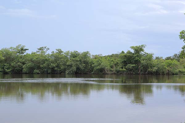 Laguna de los Kukra_kukrahill_naturaleza_gal1