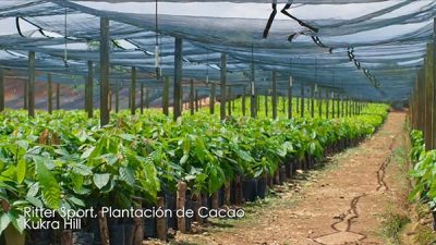 Plantaciones de cacao, Ritter Sport_kukrahill_naturaleza_gal2