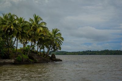 Branch Cay