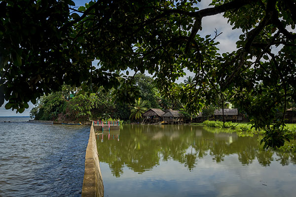 Branch Cay_bluefields_nature_gal12