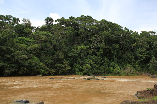 Mico River_nuevaguinea_nature_gal3