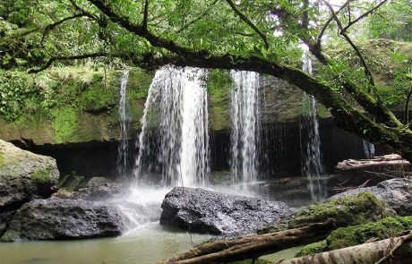Salto-La-Oropéndola-(Santo-Tomás)