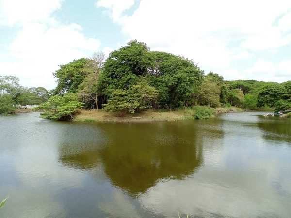 Punta-Mayales-(Juigalpa)