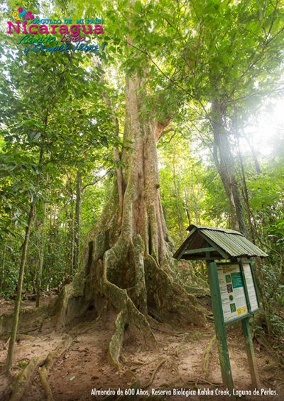 Kahka Creek Ecological Reserve_lagunaperla_naturaleza2