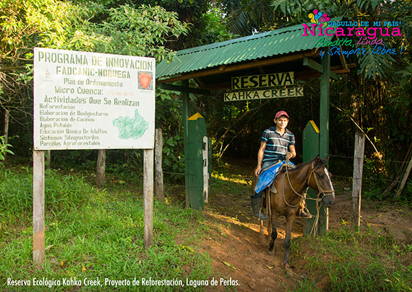 Kahka Creek Ecological Reserve_lagunaperlas_naturaleza_gal4