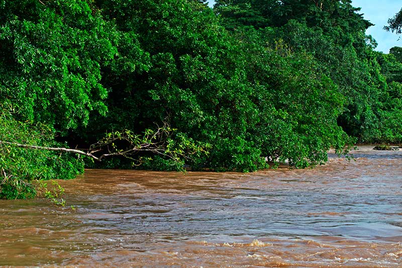 Río Cusuca Río-Cusuca-ayote_naturaleza2