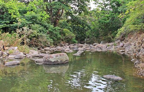 Río Cuapa Río Cuapa