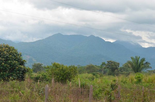 Cerro-Saslayal_siuna_naturaleza3