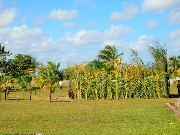 King-Pulanka, -community-of-Lamlaya_head_port_culture_gal8