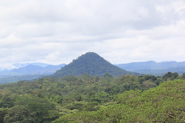 cerro Tumacalin_mulukuku_naturaleza3