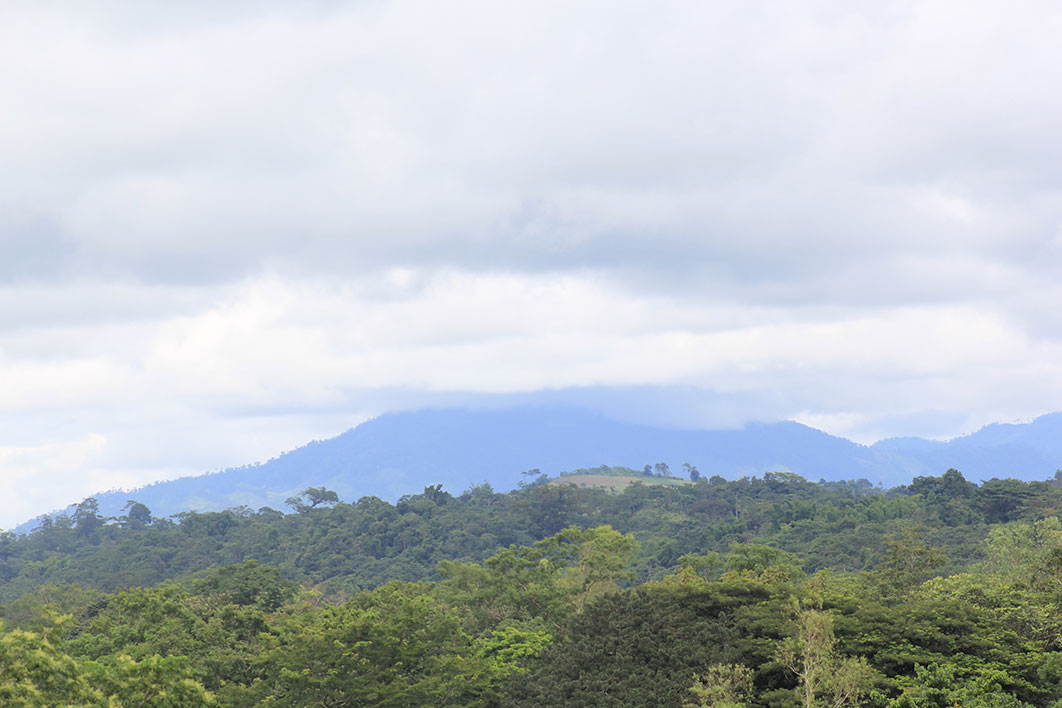 cerro paraska_mulukuku_naturaleza1