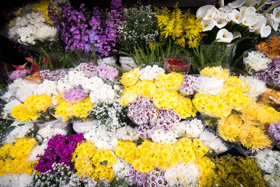 Genossenschaft-Blumen-des-Feldes-
