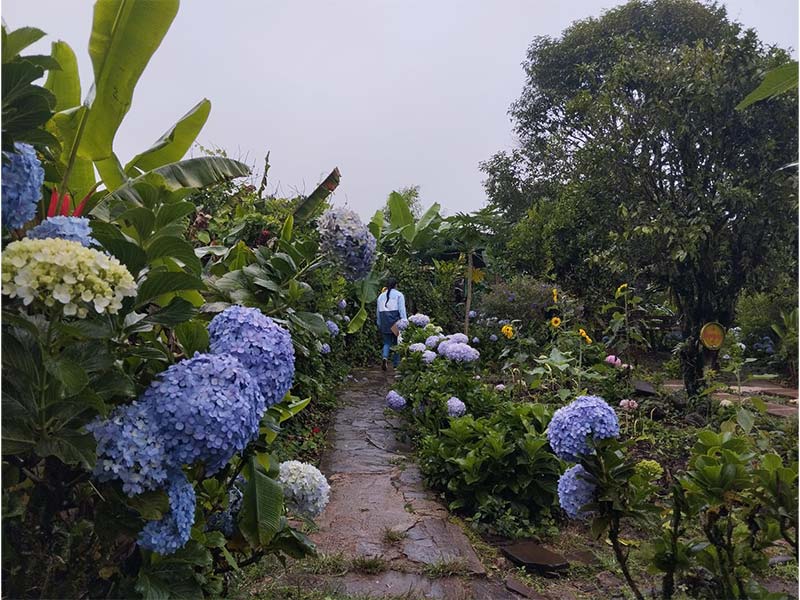 paquetes-esteli--los-apantes