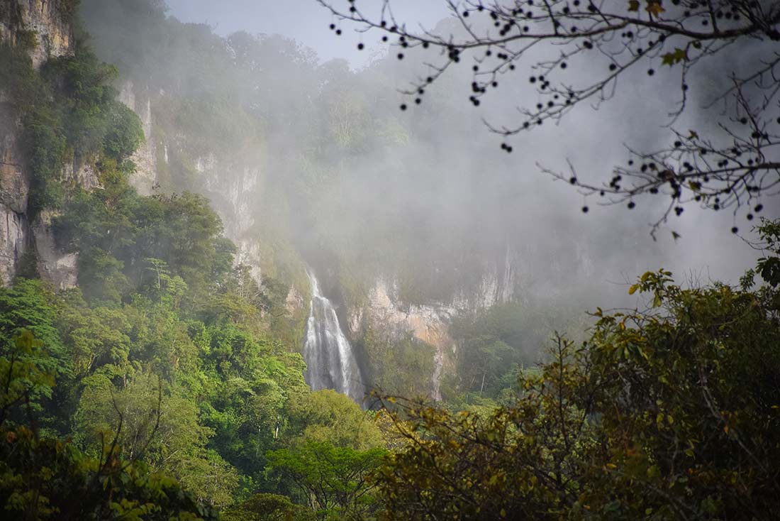 Massiccio-Penas-Blancas-Jinotega