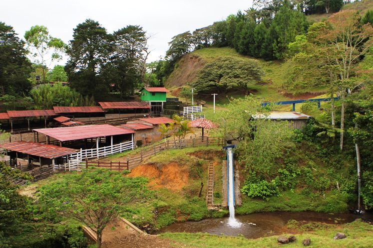 Reserve-Kilimanjaro-Jinotega