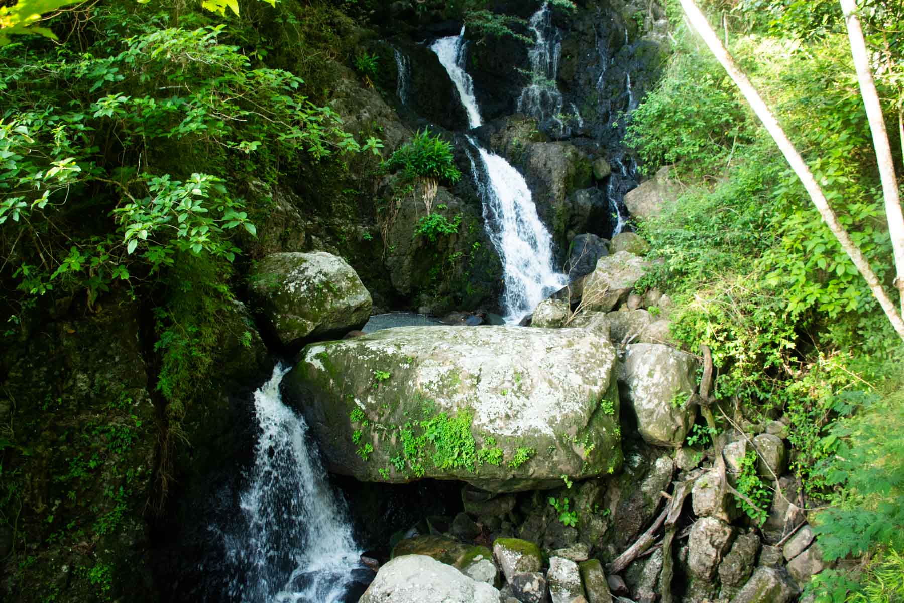 Cerro Apante Nature Reserve