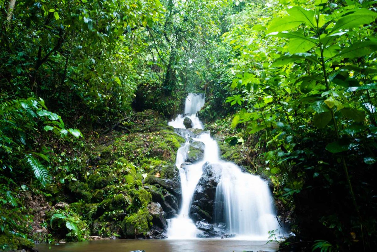 Reserva-de-Biosfera-Bosawas