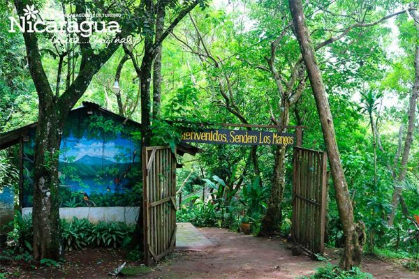 Trails-los-mangos-catarina