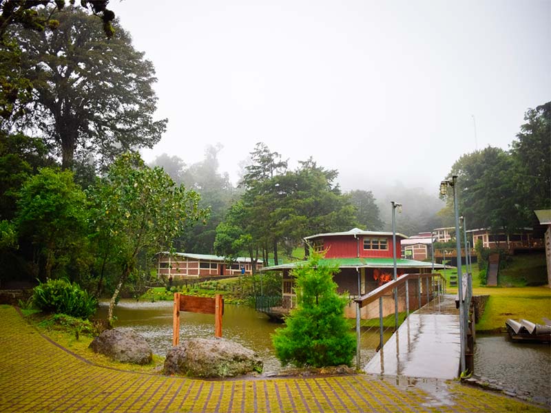 LIFE-YOUNG-jinotega