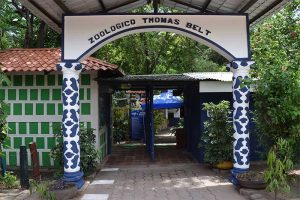 Zoo-Thomas-Belt-juigalpa-chontales Zoo-Thomas-Belt-juigalpa-chontales