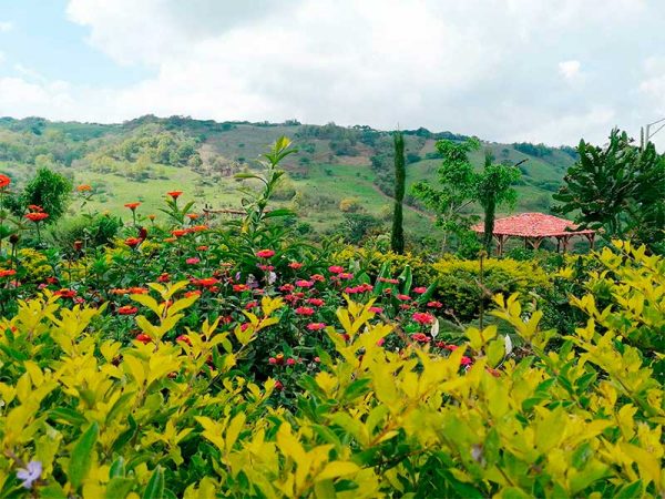 母亲公园-jinotega