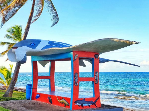 parada de bus corn island