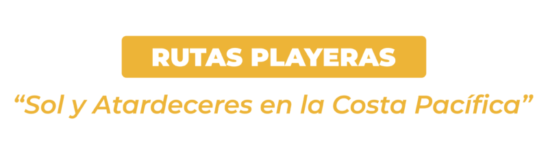 En partes-11