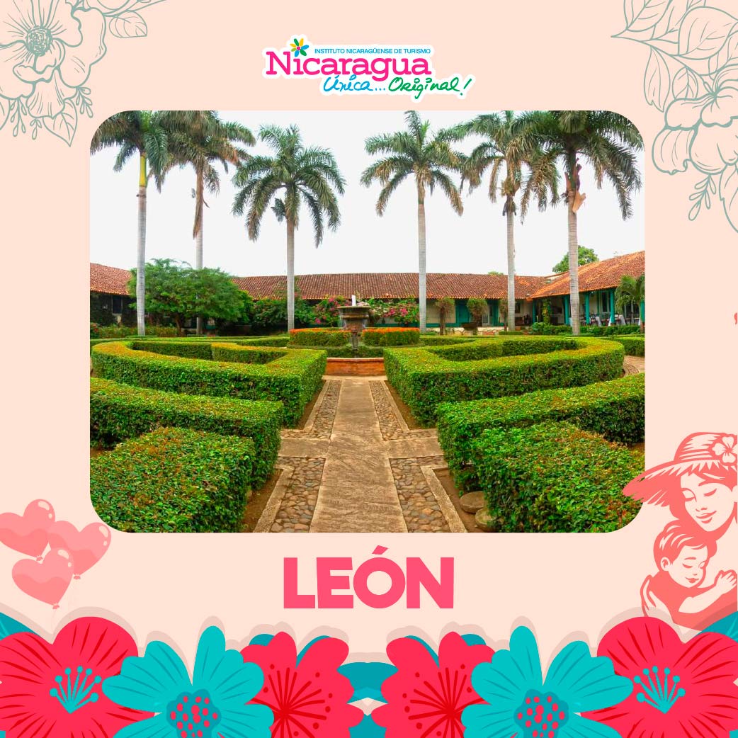 Knopf-Leon