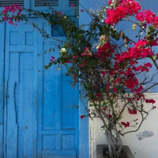 Un poco de la pintoresca Granada 🧡🖼🇳🇮

📸 @c.i.n.db.y 

#VisitNicaragua #Nicaragua #Granada
